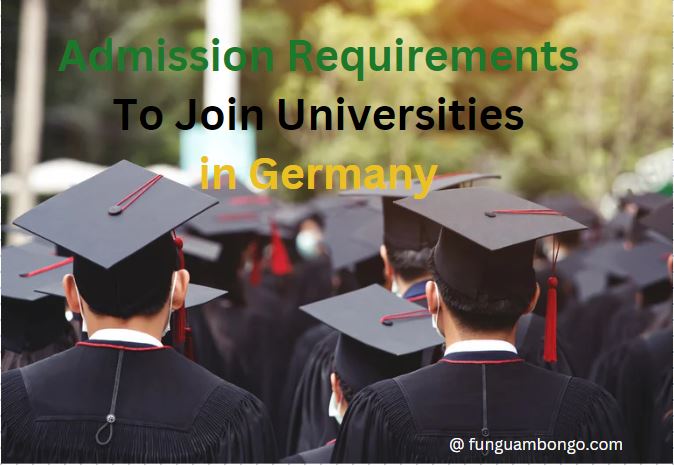 Entry Requirements to Join Universities in Germany: A Comprehensive Guide