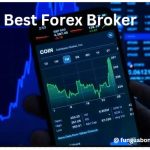 Best Forex Brokers You May Trade With: Our Top Picks