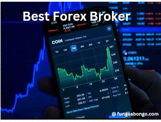 Best Forex Brokers You May Trade With: Our Top Picks