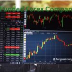 Best Funded Companies in Forex Markets