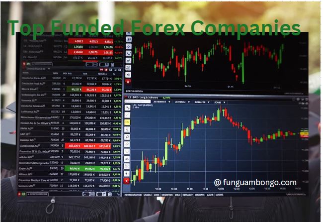 Best Funded Companies in Forex Markets