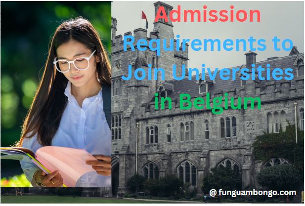 Admission Requirements to Join Universities in Belgium