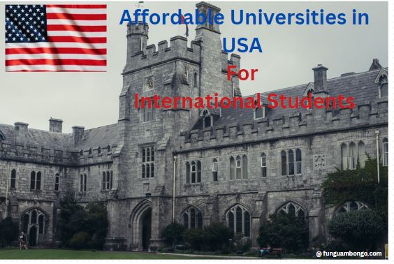 Most Affordable Universities in USA For International Students