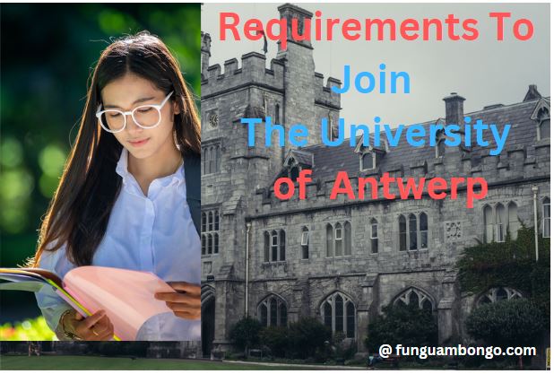 Requirements to Join University of Antwerp