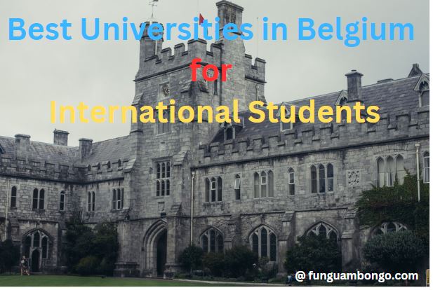 Best Universities in Belgium for International Students