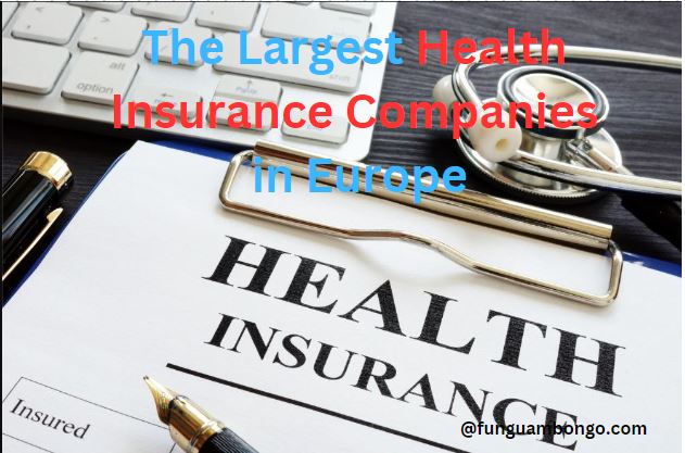 The Largest Health Insurance Companies in Europe