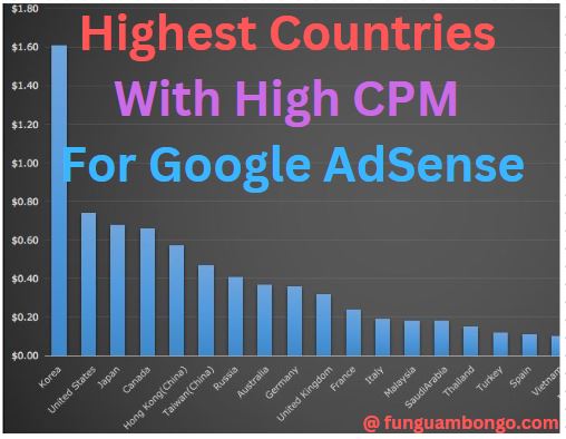 Most Highest Countries With High CPM For Google AdSense