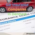 Car Insurance Companies in Denmark