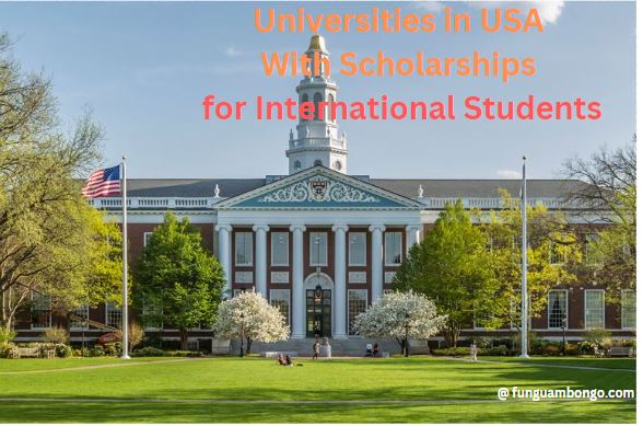 Universities in USA With Scholarships for International Students