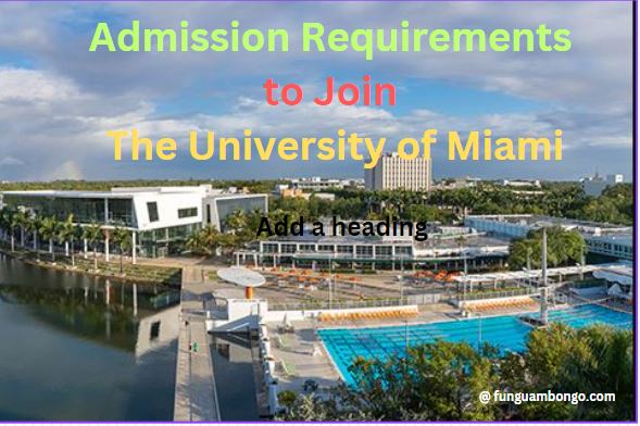 Admission Requirements to Join the University of Miami