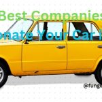 Best Companies To Donate Your Car in USA