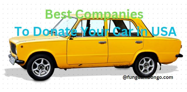 Best Companies To Donate Your Car in USA