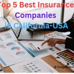 Top 5 Best Insurance Companies in California-USA