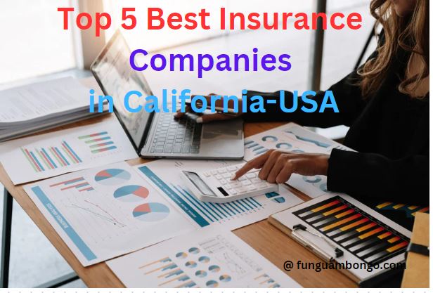 Top 5 Best Insurance Companies in California-USA