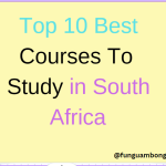 Top 10 Best Courses To Study in South Africa