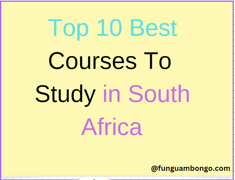 Top 10 Best Courses To Study in South Africa