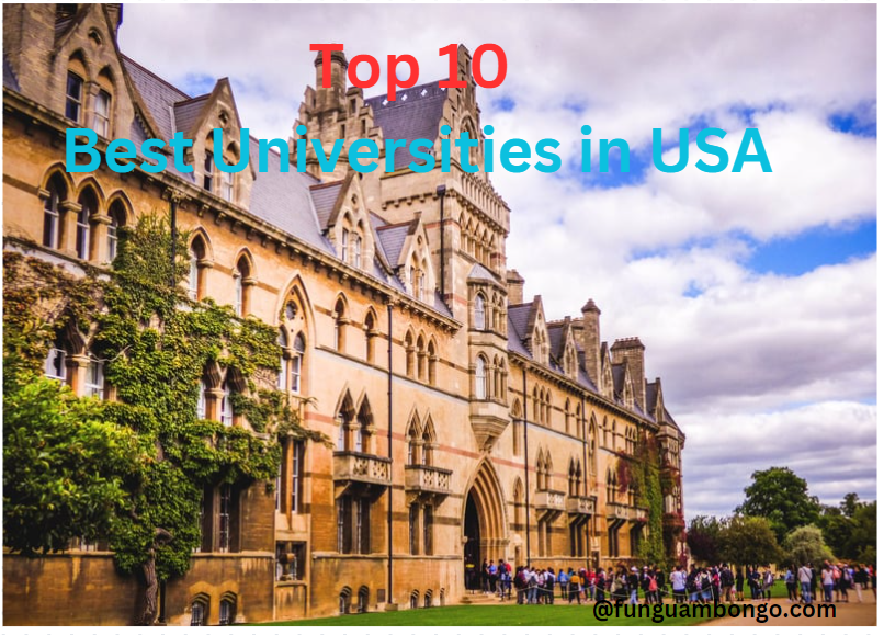 Top 10 Best Universities in USA