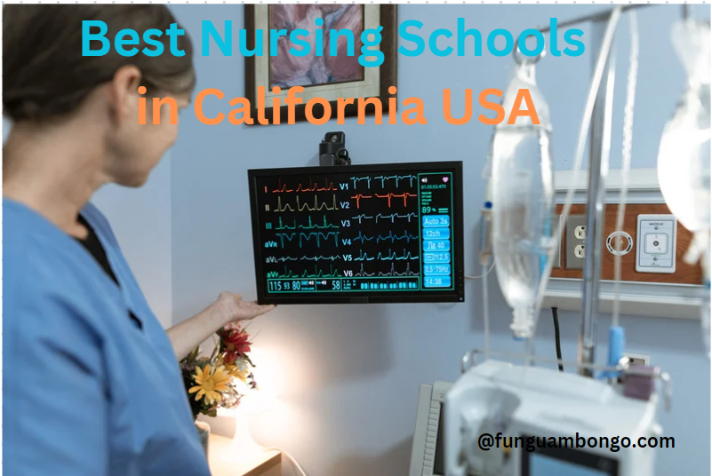 Best Nursing Schools in California USA