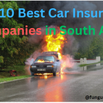 Top 10 Best Car Insurance Companies in South Africa