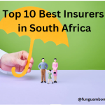 Top 10 Best Insurers in South Africa