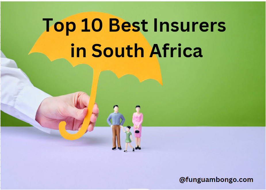 Top 10 Best Insurers in South Africa