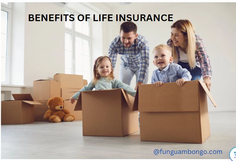 Benefits of Life Insurance That You Should Know