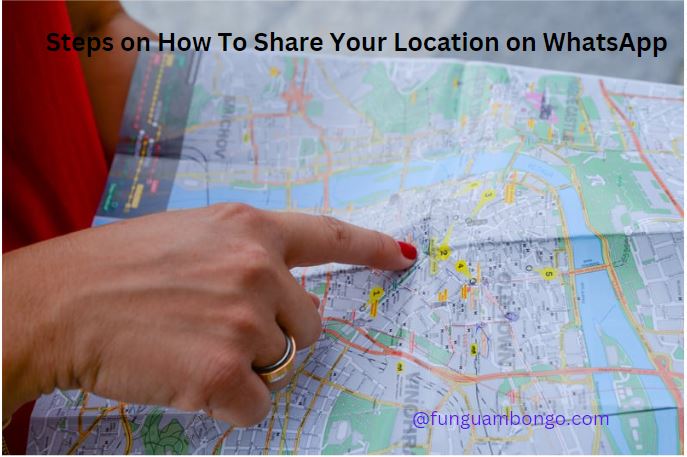 Steps on How To Share Your Location on WhatsApp