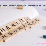 Top 6 Best Health Insurance Companies in the World