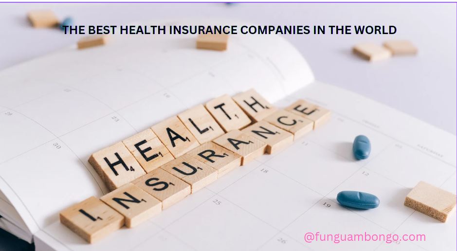 Top 6 Best Health Insurance Companies in the World