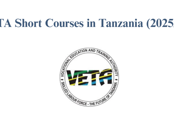 VETA Short Courses in Tanzania (2025/2026)