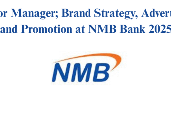 Senior Manager; Brand Strategy, Advertising and Promotion at NMB Bank